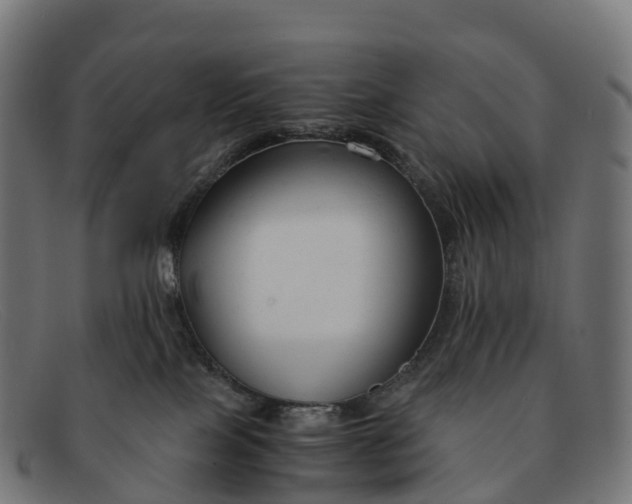 X0000091660089200709131518