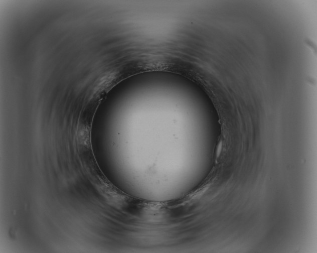 X0000091660096200709131518