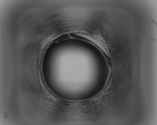 X0000091660097200709131517