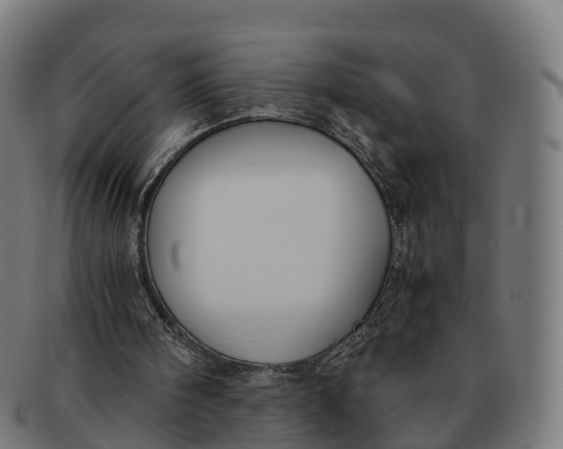 X0000091660098200709131517