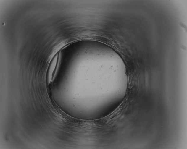 X0000091660099200709131517