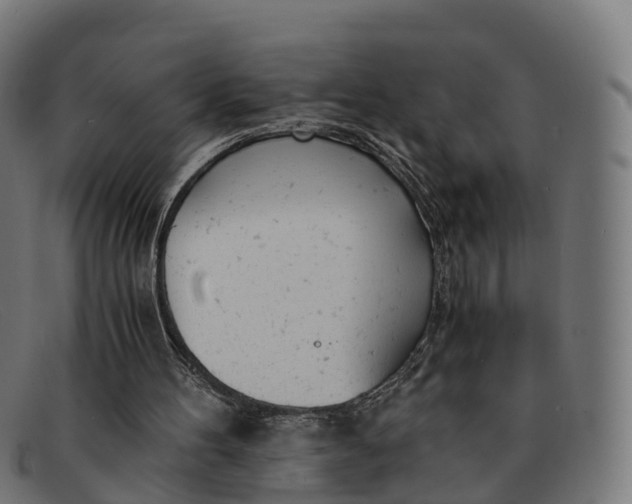 X0000091660100200709131517