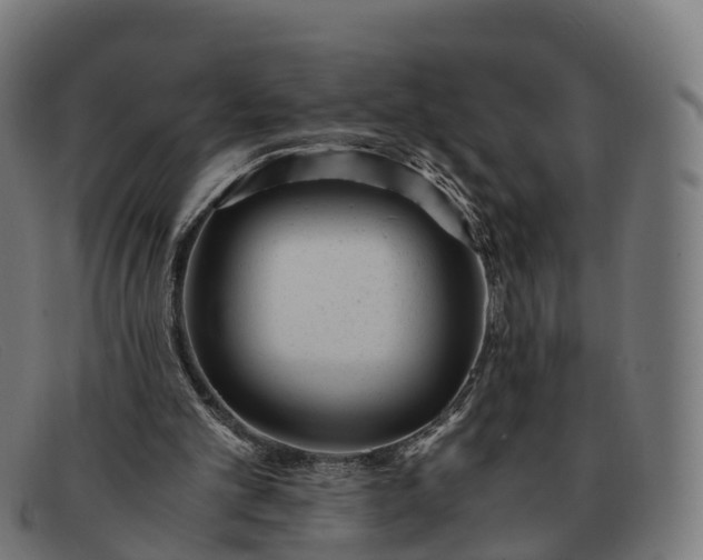 X0000091660101200709131517