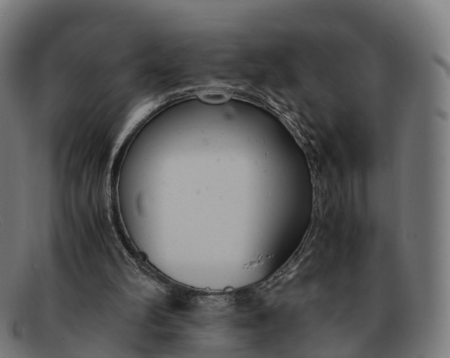 X0000091660102200709131517