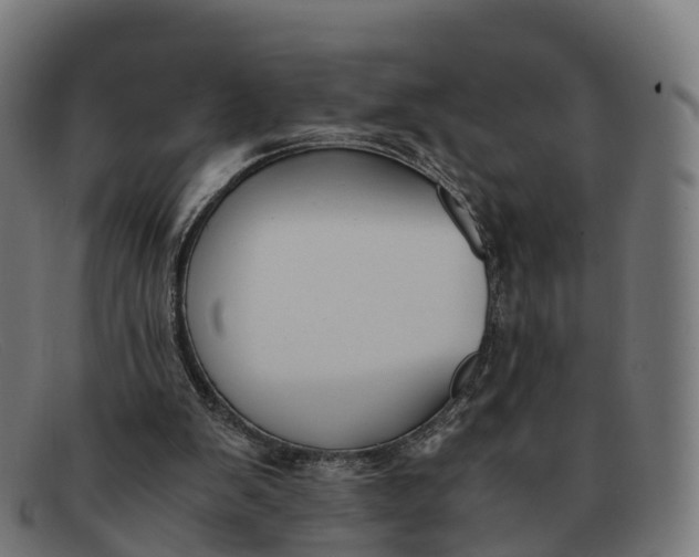 X0000091660103200709131517