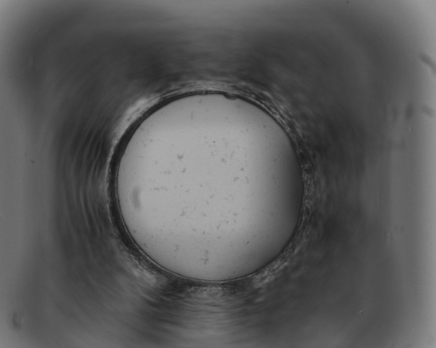 X0000091660104200709131517