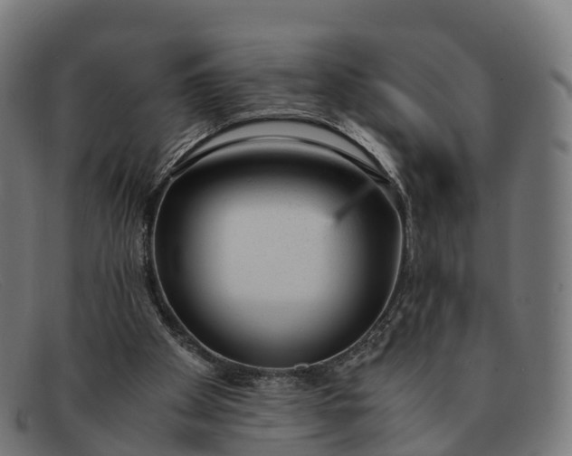 X0000091660105200709131517