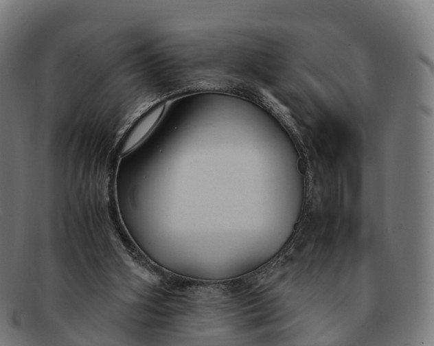 X0000091660106200709131517