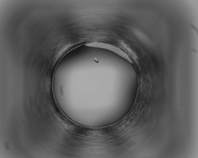 X0000091660107200709131517