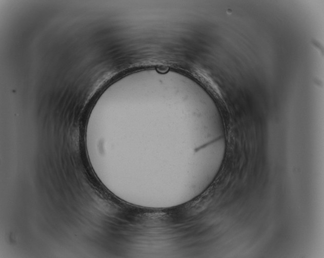 X0000091660108200709131517