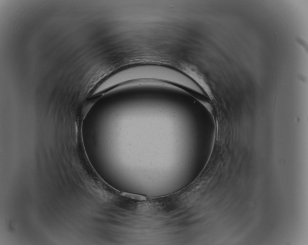 X0000091660109200709131517