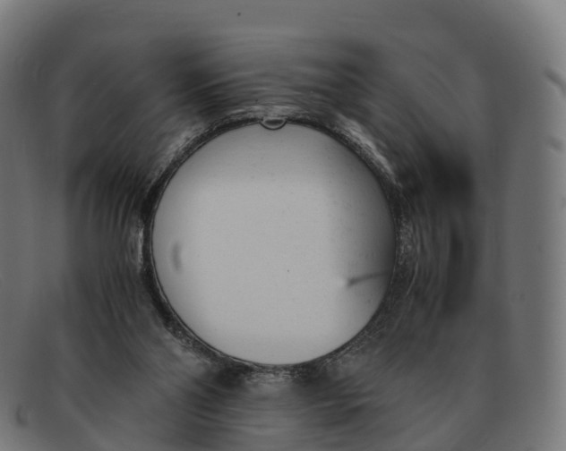 X0000091660110200709131517