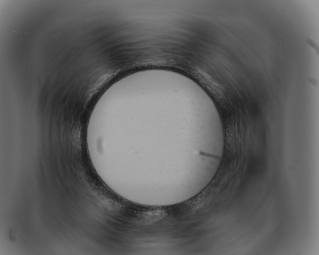 X0000091660112200709131517