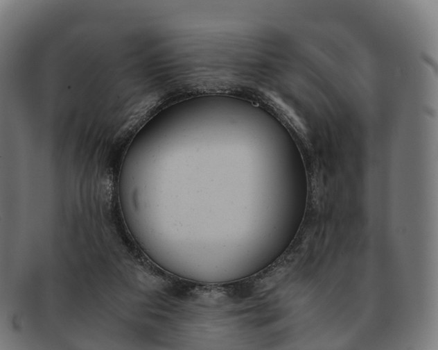 X0000091660113200709131517