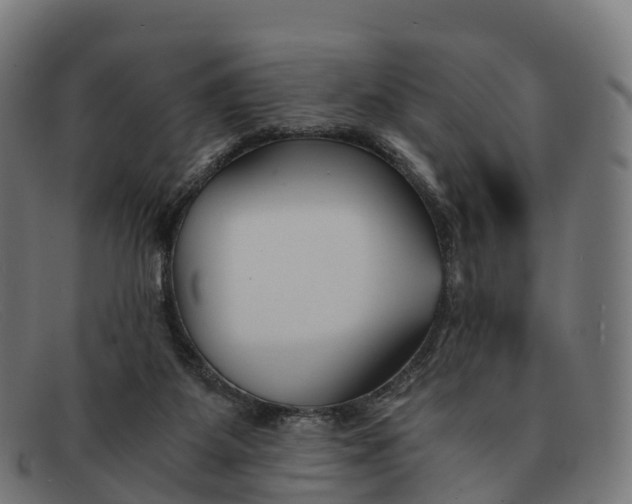 X0000091660115200709131517