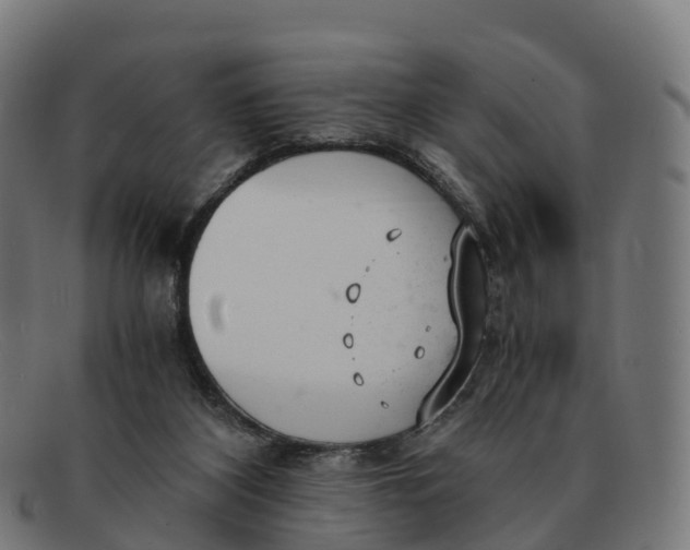 X0000091660116200709131517