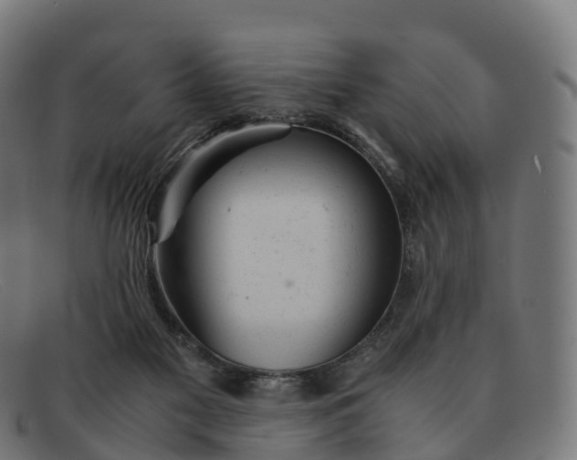 X0000091660117200709131517