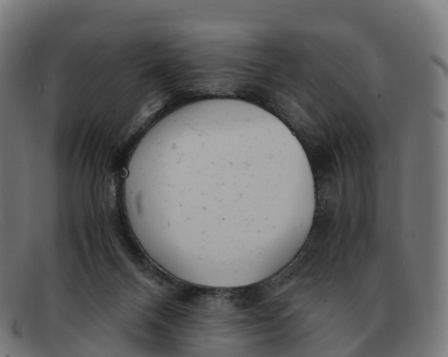 X0000091660120200709131517