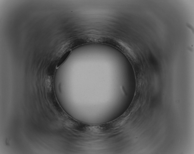 X0000091660121200709131517