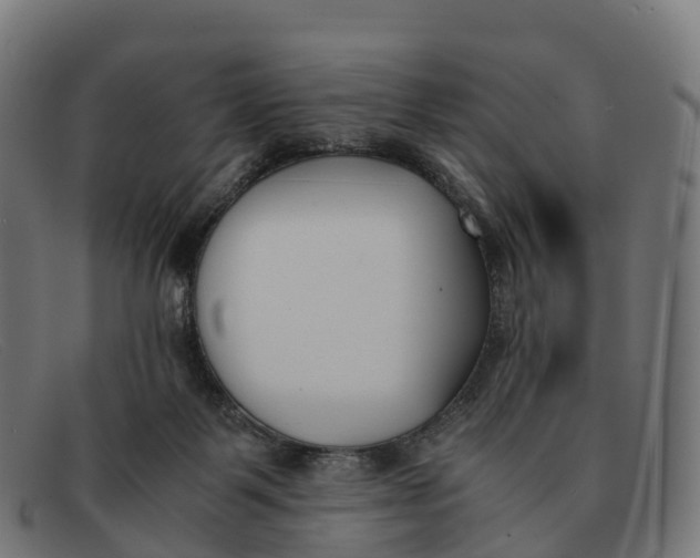 X0000091660123200709131517