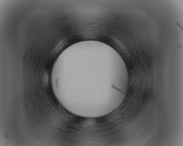 X0000091660124200709131517