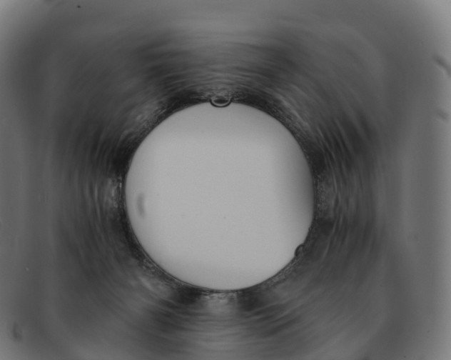 X0000091660126200709131517