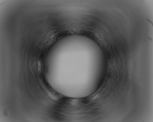 X0000091660130200709131517