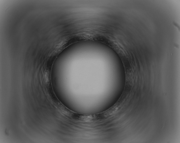 X0000091660131200709131517