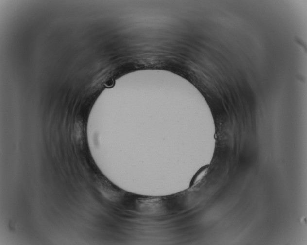 X0000091660132200709131517