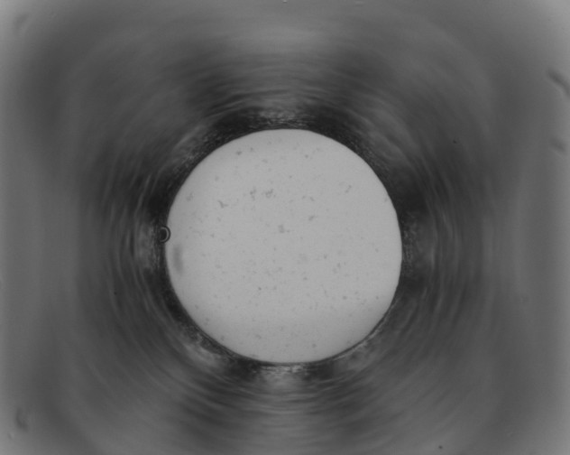 X0000091660136200709131517