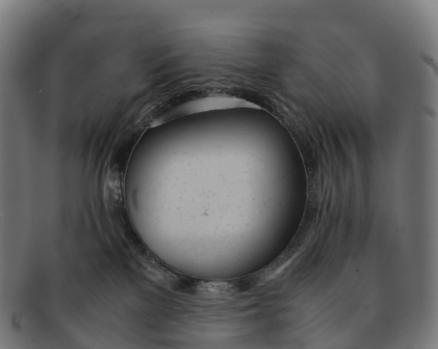 X0000091660137200709131517