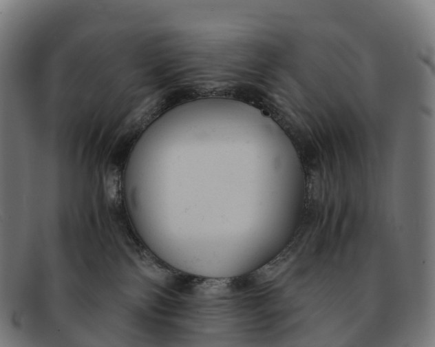 X0000091660138200709131517