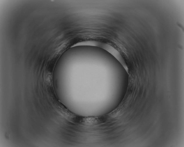 X0000091660141200709131517