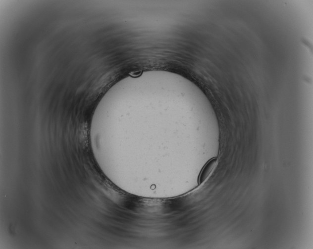 X0000091660144200709131517