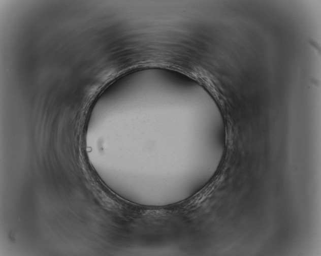 X0000091660145200709131516