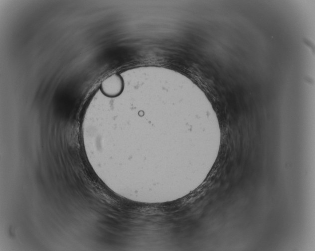 X0000091660146200709131516