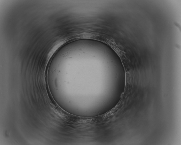 X0000091660147200709131516