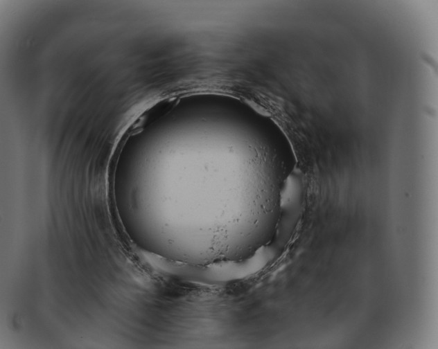 X0000091660148200709131516