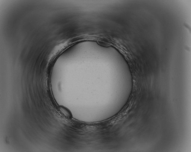 X0000091660149200709131516