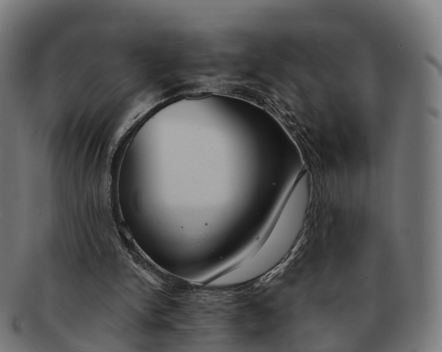 X0000091660150200709131516