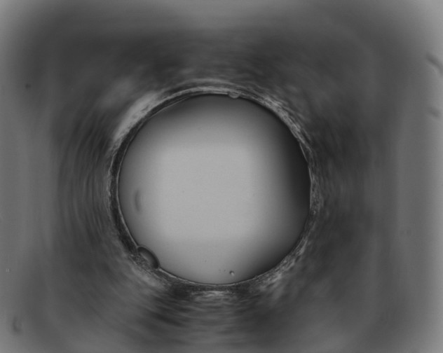 X0000091660151200709131516