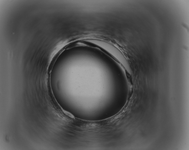 X0000091660152200709131516