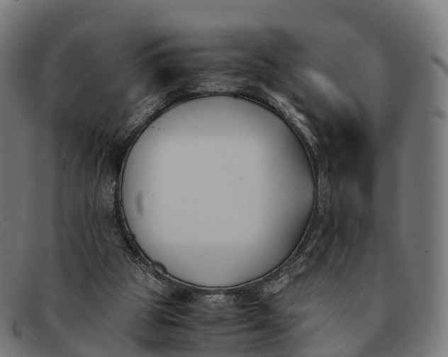 X0000091660153200709131516