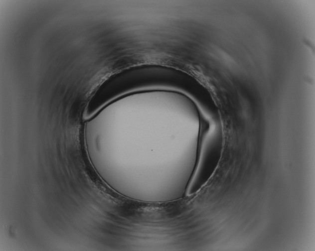 X0000091660154200709131516