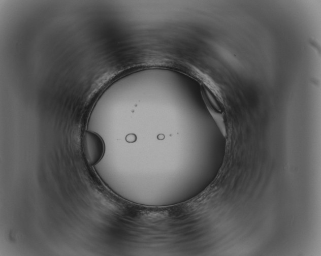 X0000091660155200709131516