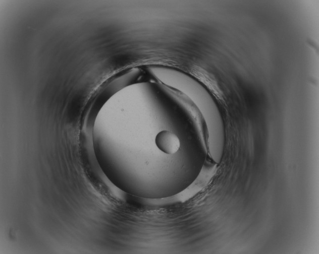 X0000091660156200709131516