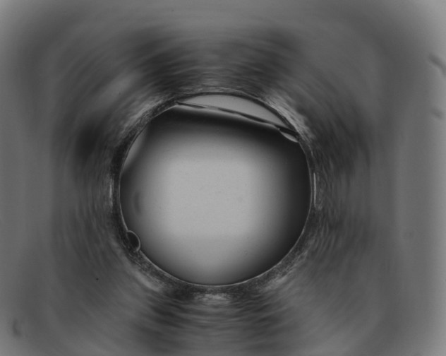 X0000091660157200709131516