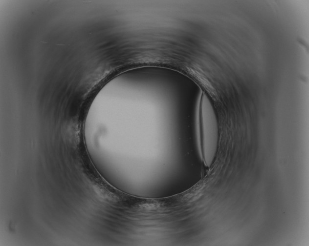 X0000091660160200709131516