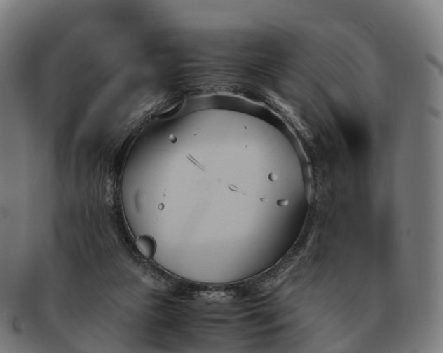 X0000091660161200709131516