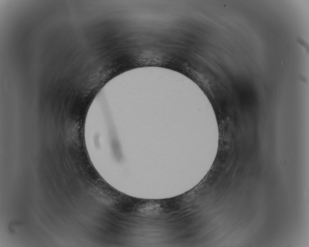 X0000091660162200709131516